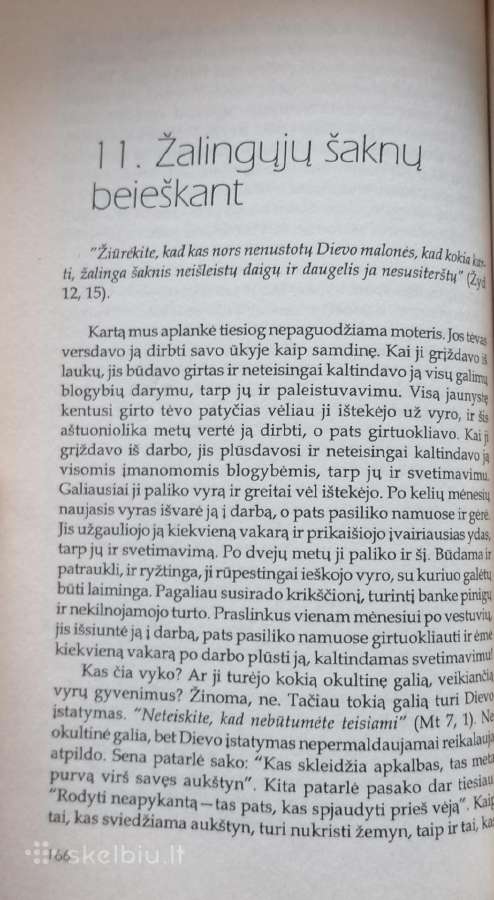 D.p. Sandford "Krikščioniškos šeimos atstatymas'' - nuotraukos Nr. 4
