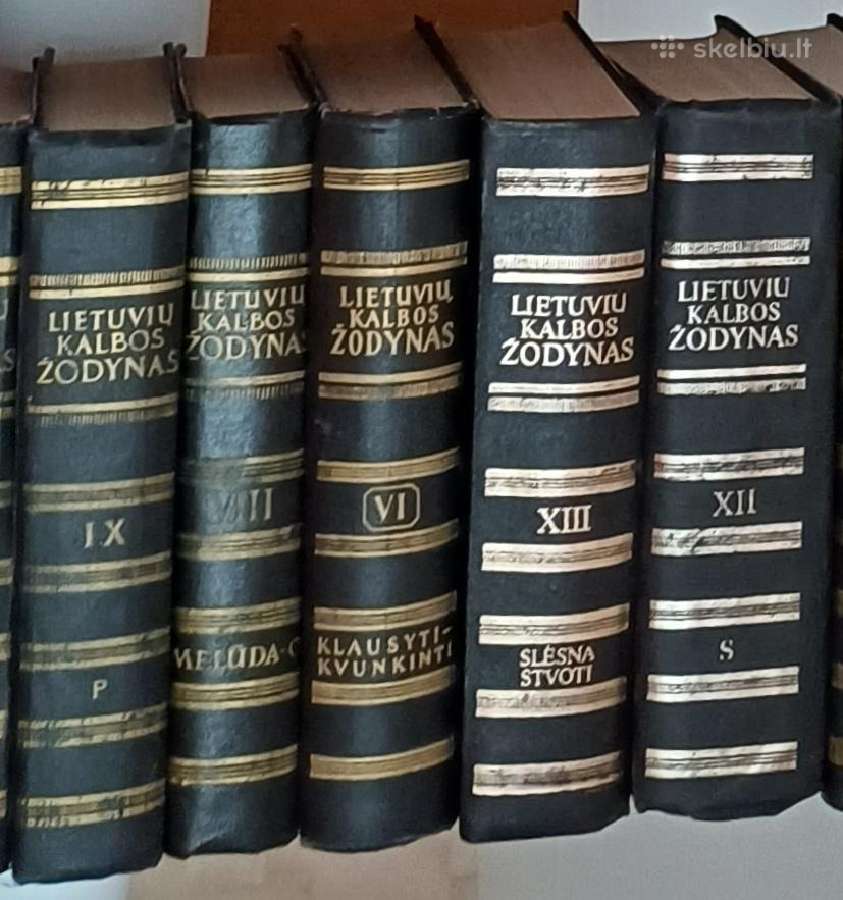 Lietuvių kalbos žodynas