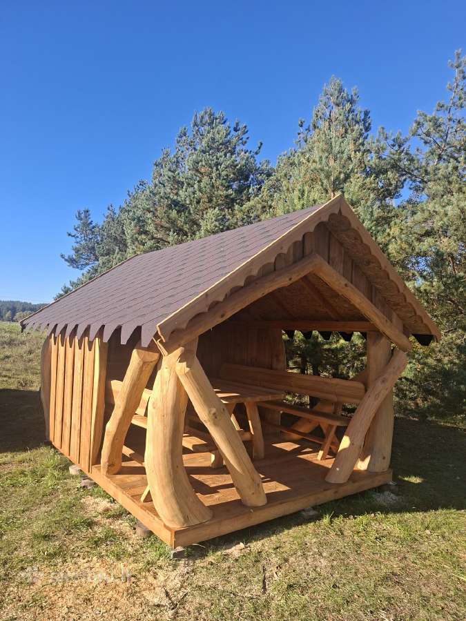 Lauko pavesines kreivuoliu pavesine - nuotraukos Nr. 21
