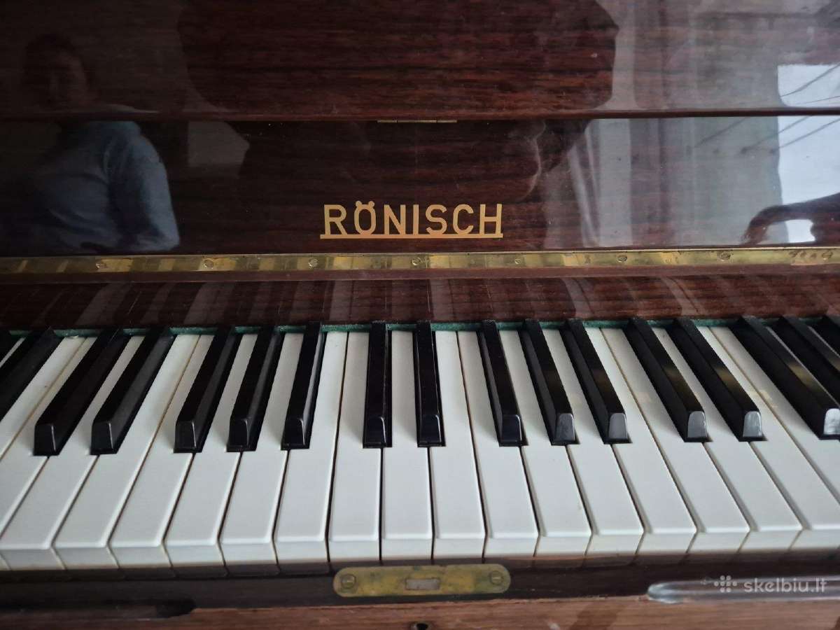 Ronisch model expresia - nuotraukos Nr. 2