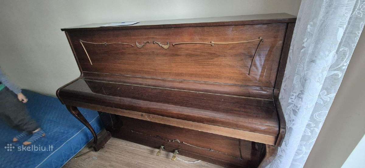 Ronisch model expresia - nuotraukos Nr. 3