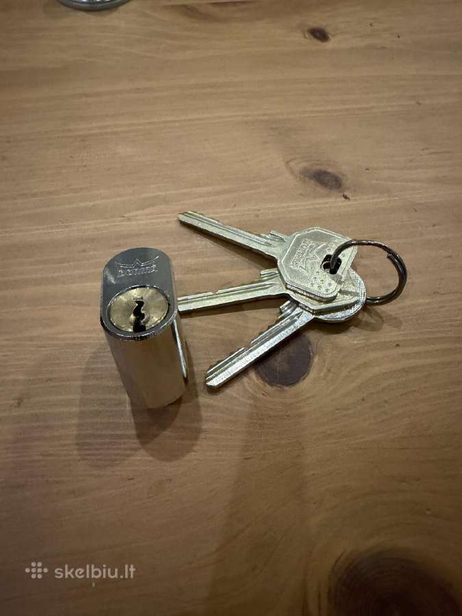 Dorma spynos šerdis