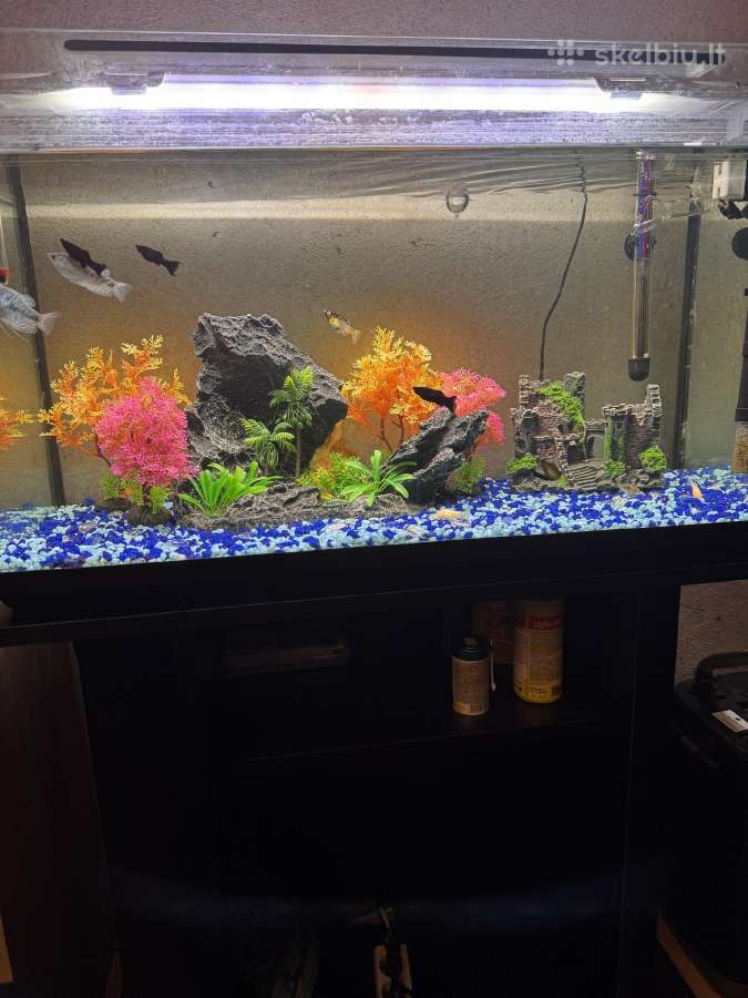 Akvariumas 120l su spintele ir įranga