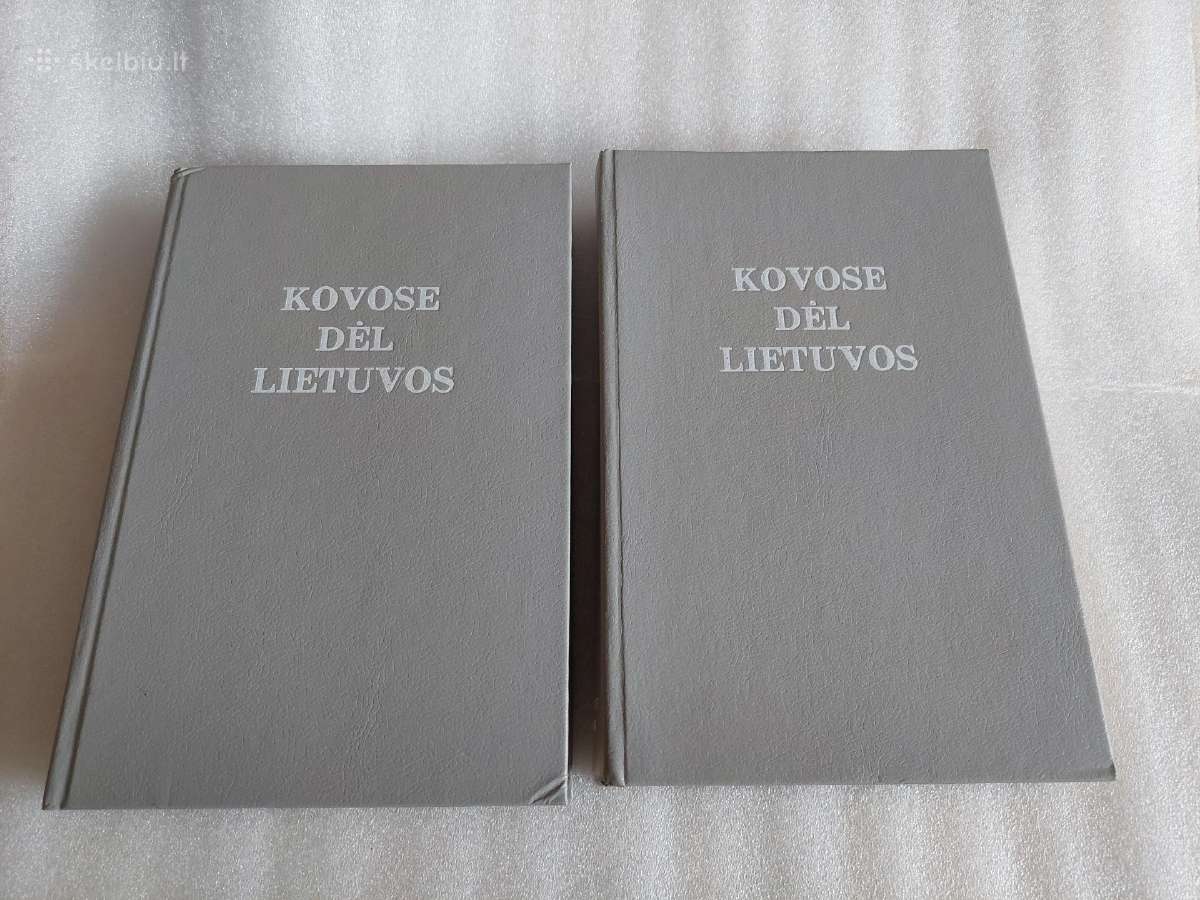 Kovose dėl Lietuvos