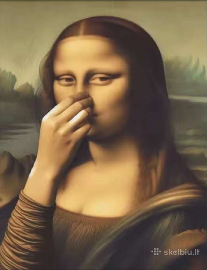 Mona Liza drobė. Matmenys 30 x 40 cm.