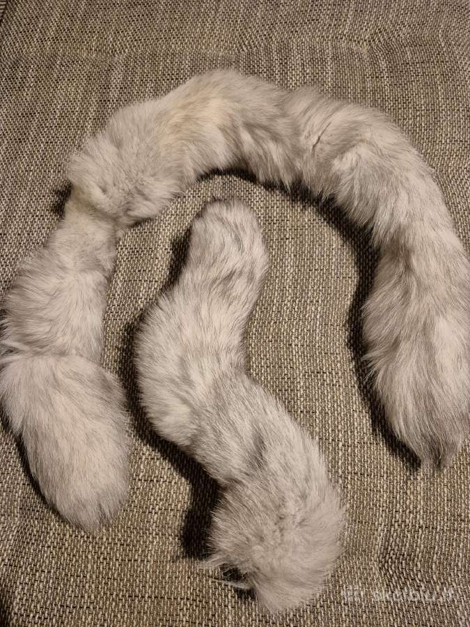 Lapės kailiukai