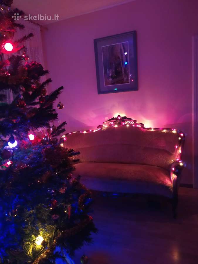 Antikvarinė sofa