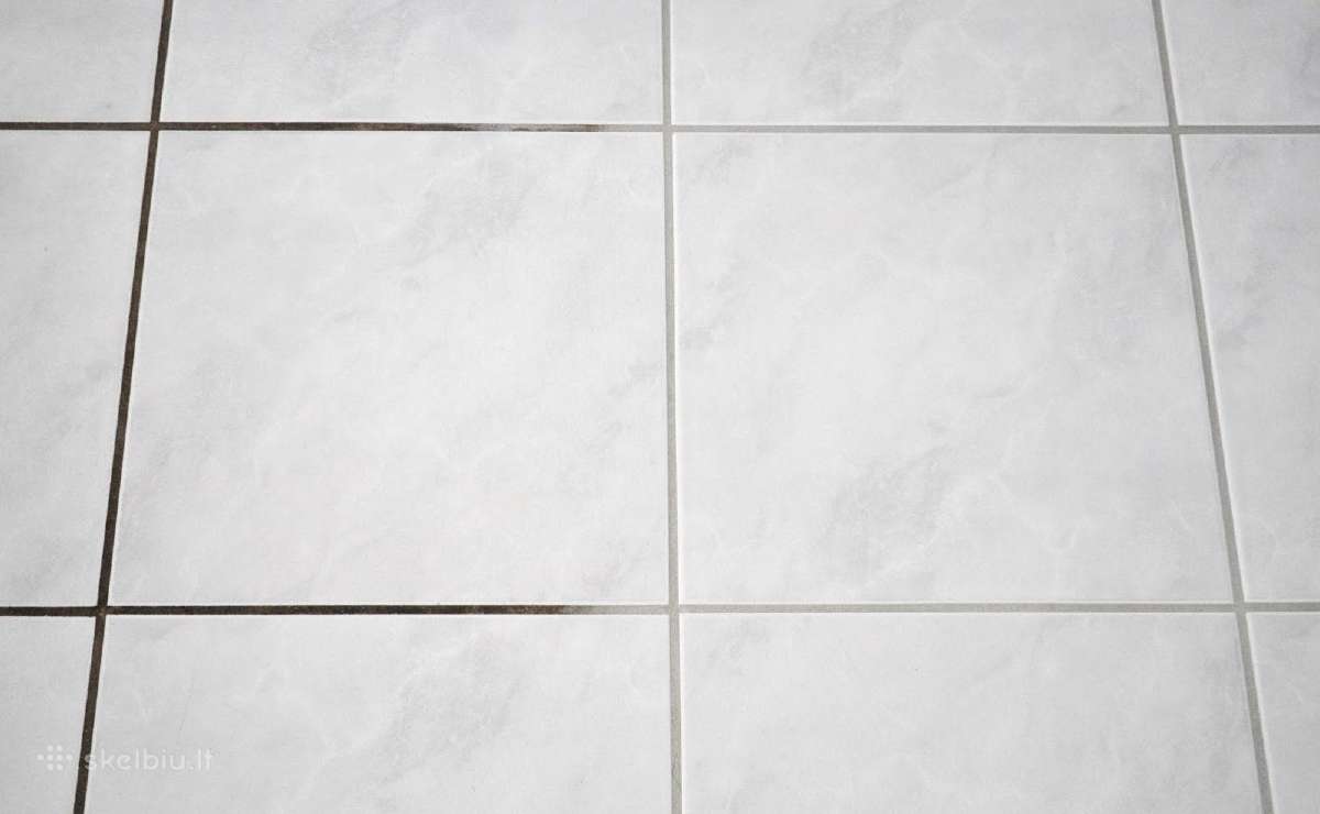 Plaunancio dulkiu siurblio Karcher nuoma Šiauliai - nuotraukos Nr. 5