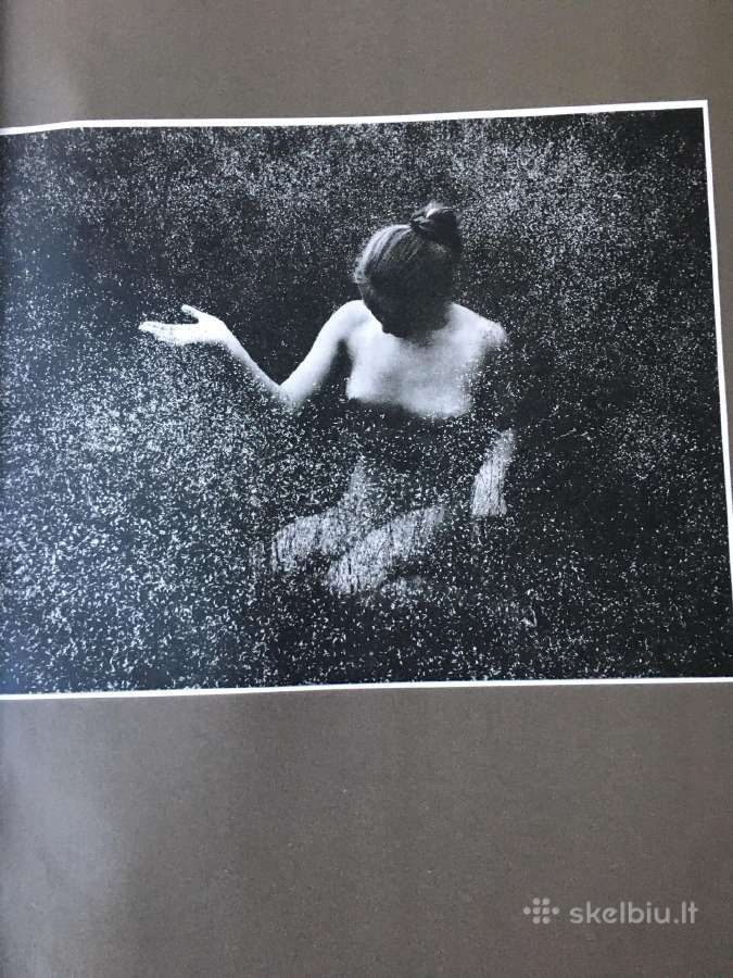 Rimantas Dichavičius. „Žiedai tarp žiedų“ - nuotraukos Nr. 5