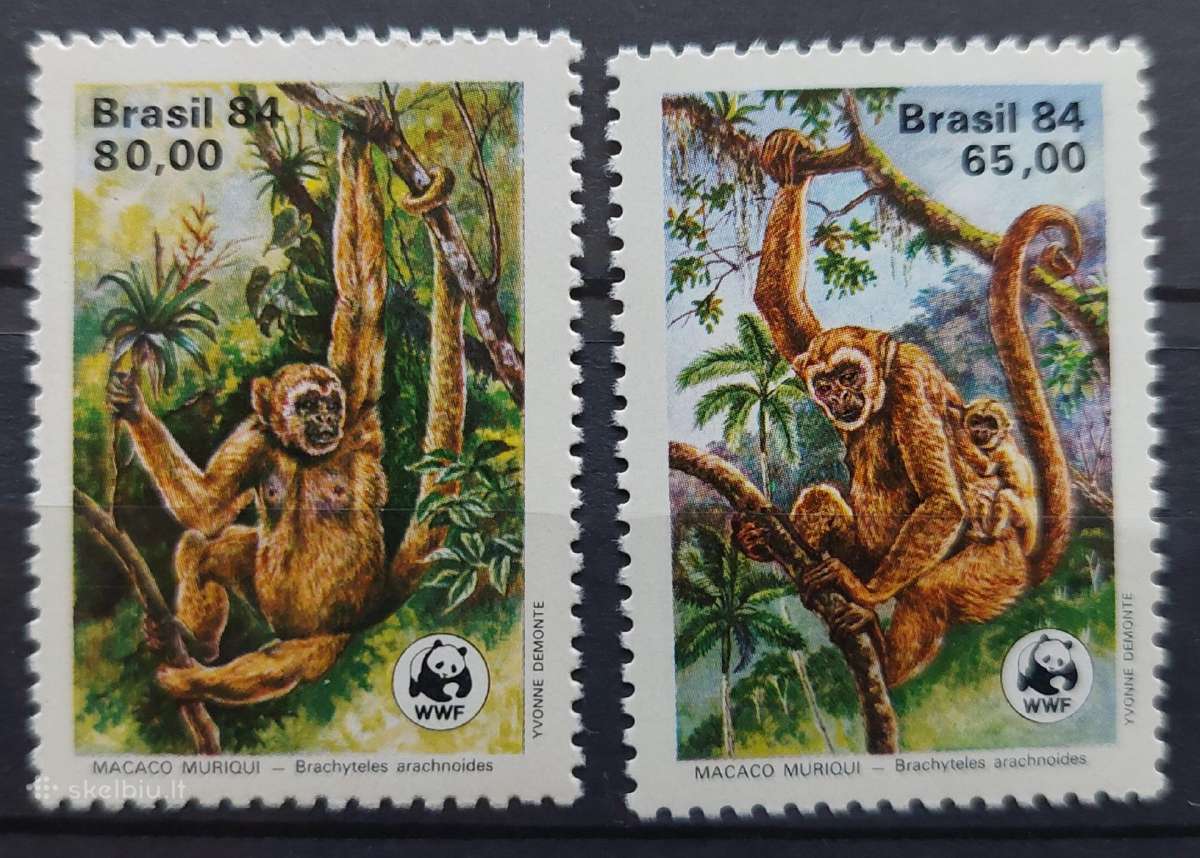 Brazilija 1984 Wwf beždžiones, švarūs, Michel 2052