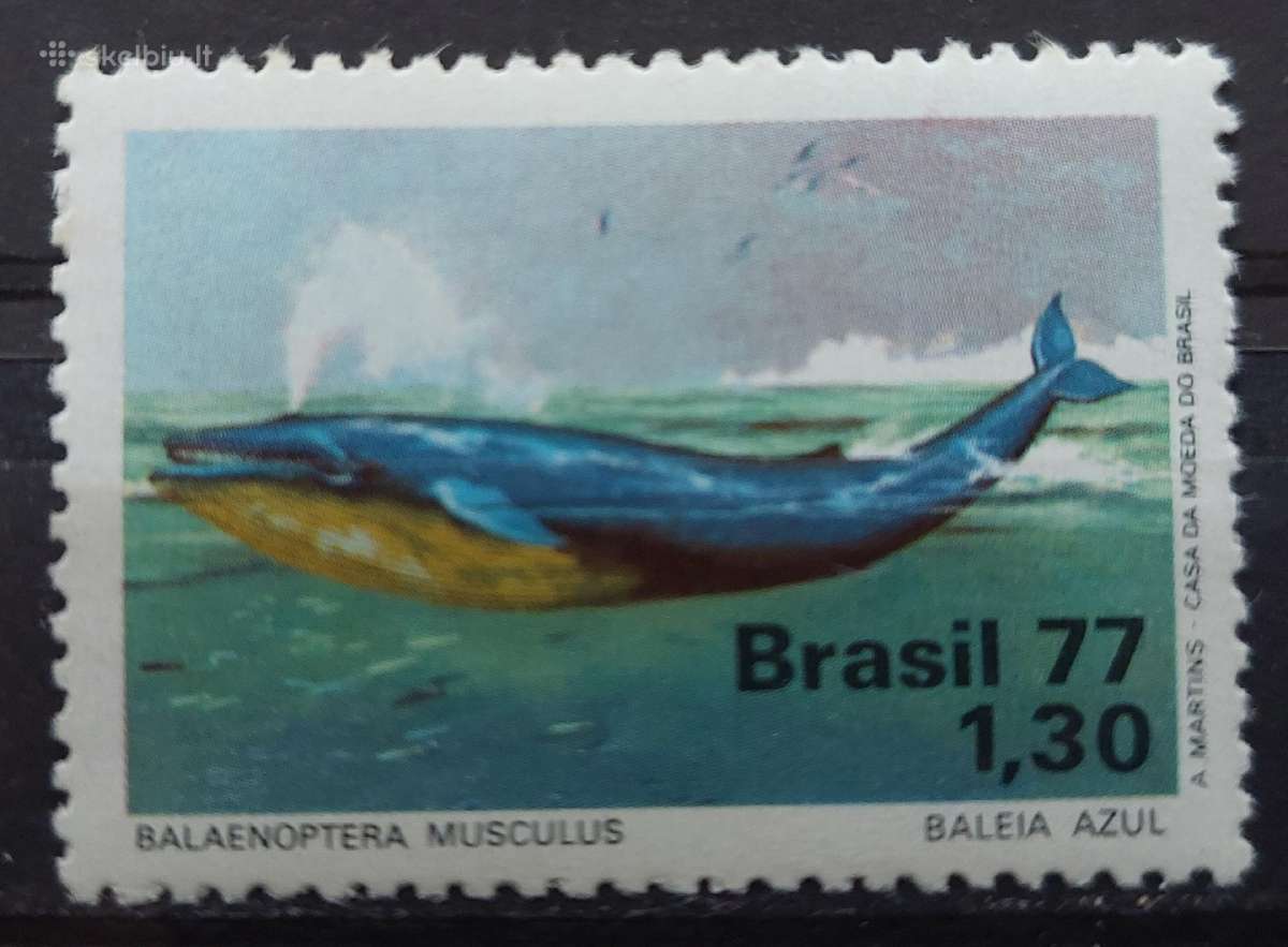 Brazilija 1977 banginis , švarūs, Michel 1597