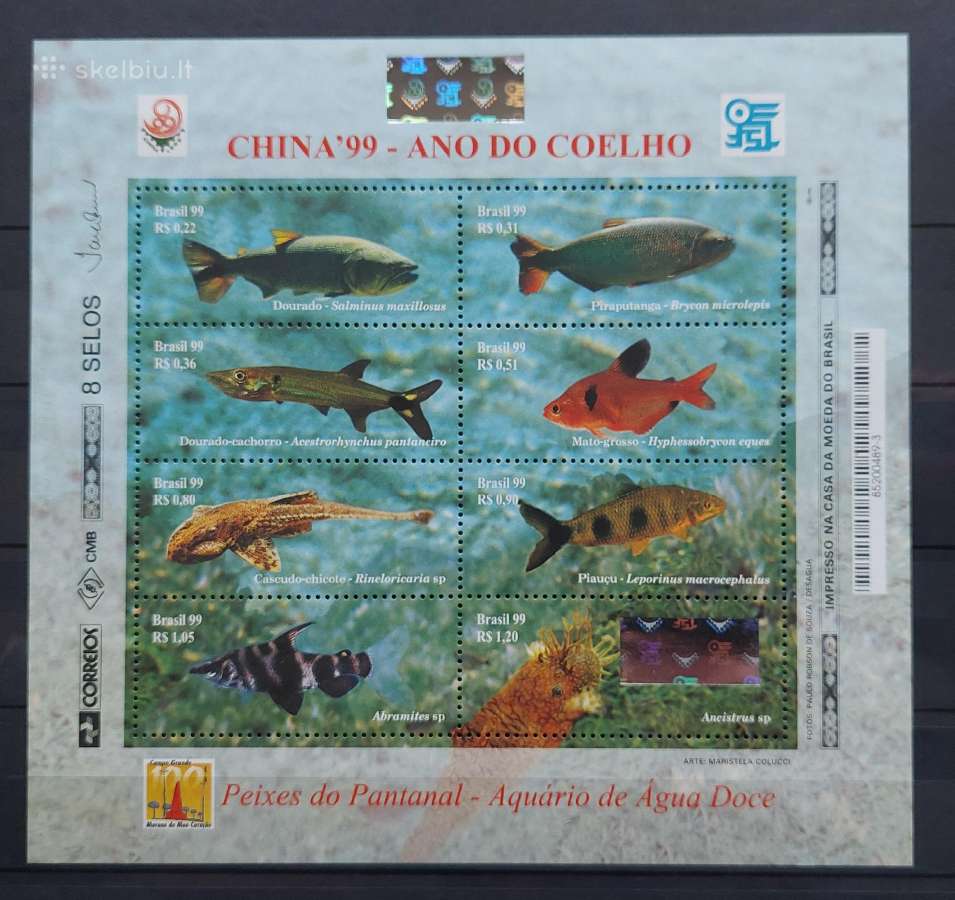 Brazilija 1999 žuvis, švarūs,lapelis Michel 2955-2