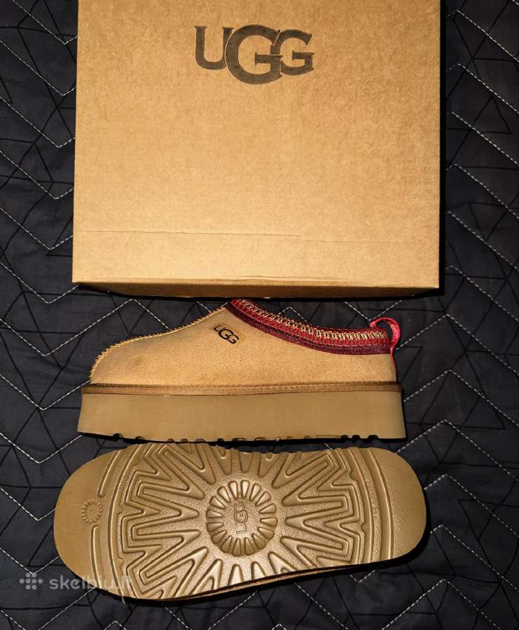 Ugg tazz batai