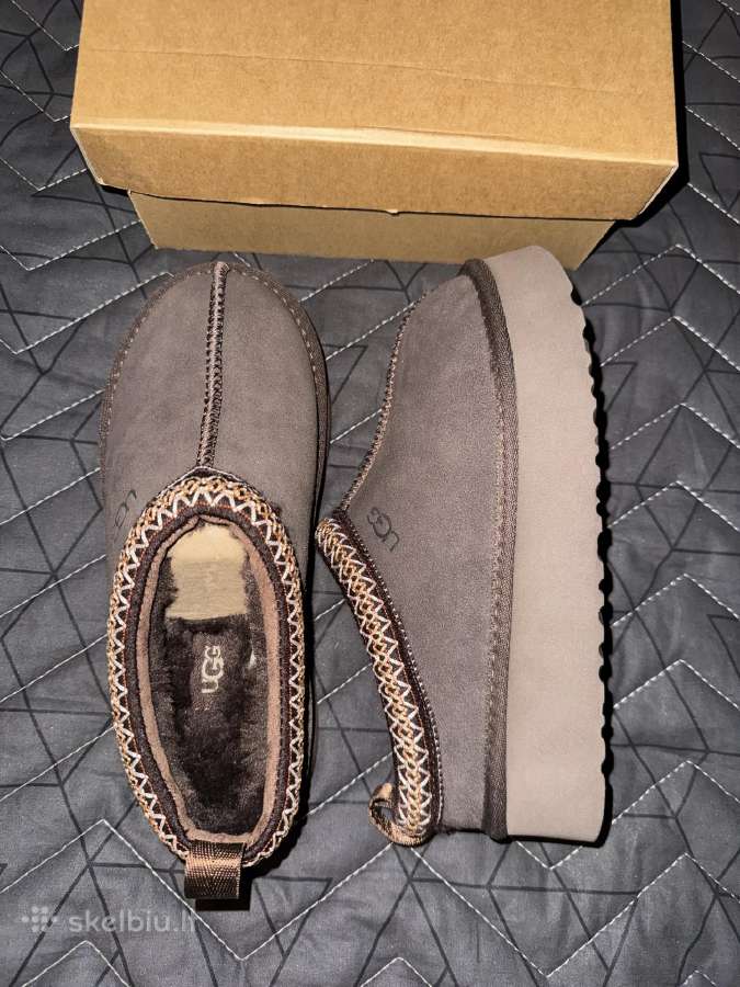Ugg tazz batai