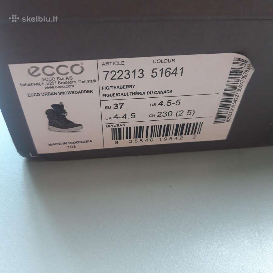 Ecco aulinukai