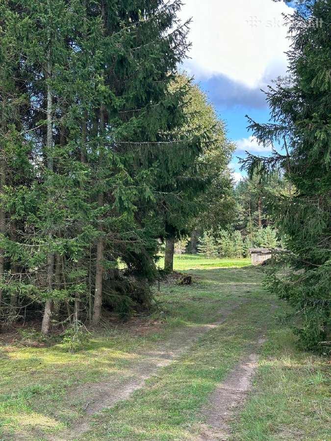 Nuostabi sodyba pušų - miško apsuptyje 1,55 ha - nuotraukos Nr. 2