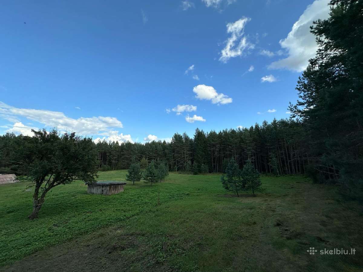 Nuostabi sodyba pušų - miško apsuptyje 1,55 ha - nuotraukos Nr. 3