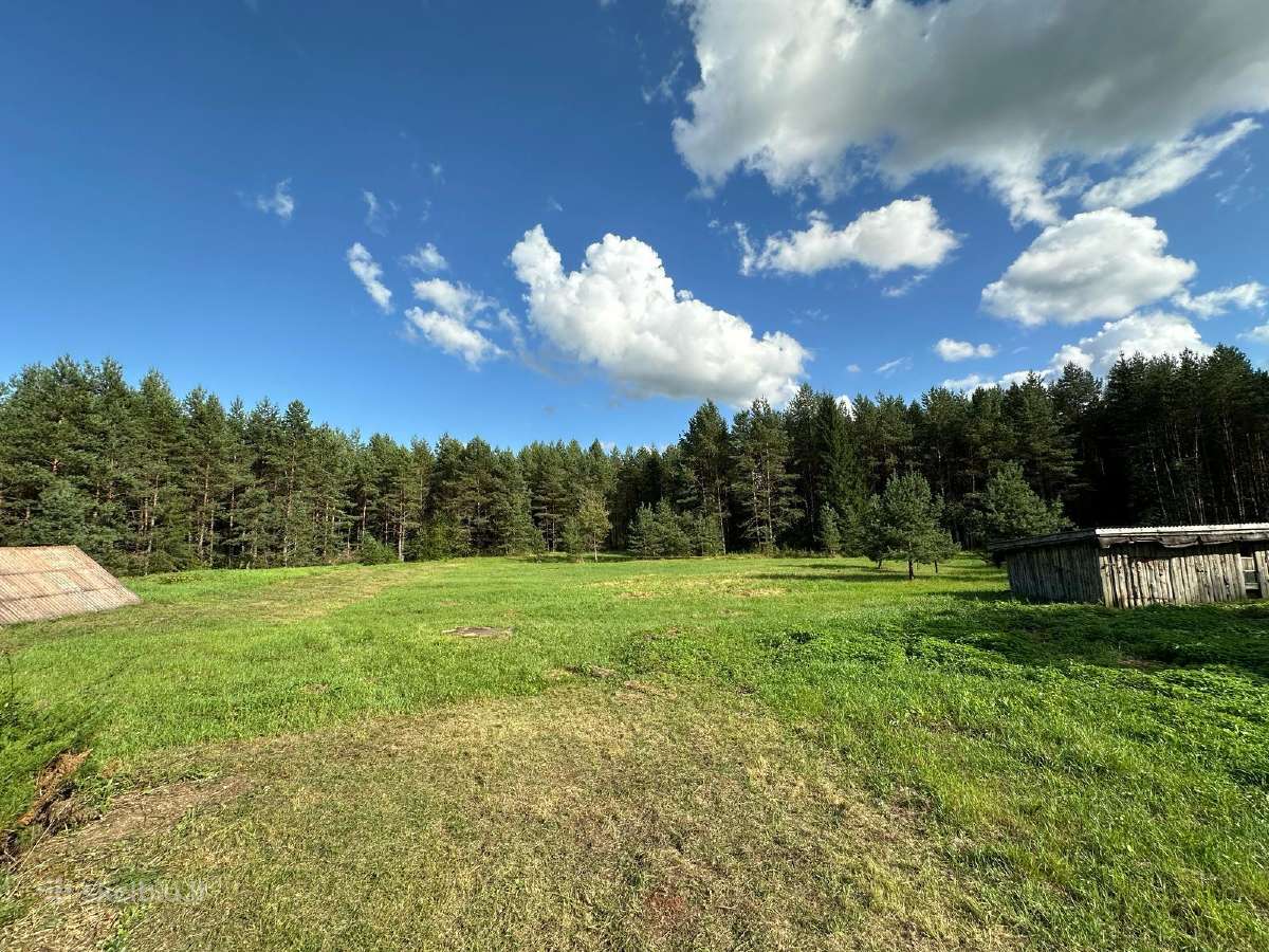 Nuostabi sodyba pušų - miško apsuptyje 1,55 ha - nuotraukos Nr. 5