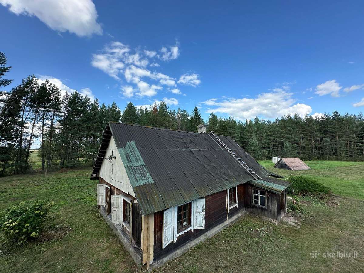 Nuostabi sodyba pušų - miško apsuptyje 1,55 ha - nuotraukos Nr. 6