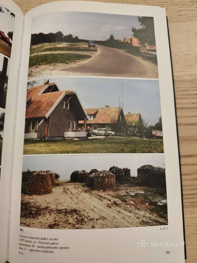 J. Buračas. Kuršių Nerijos Nacionalinis Parkas - nuotraukos Nr. 5