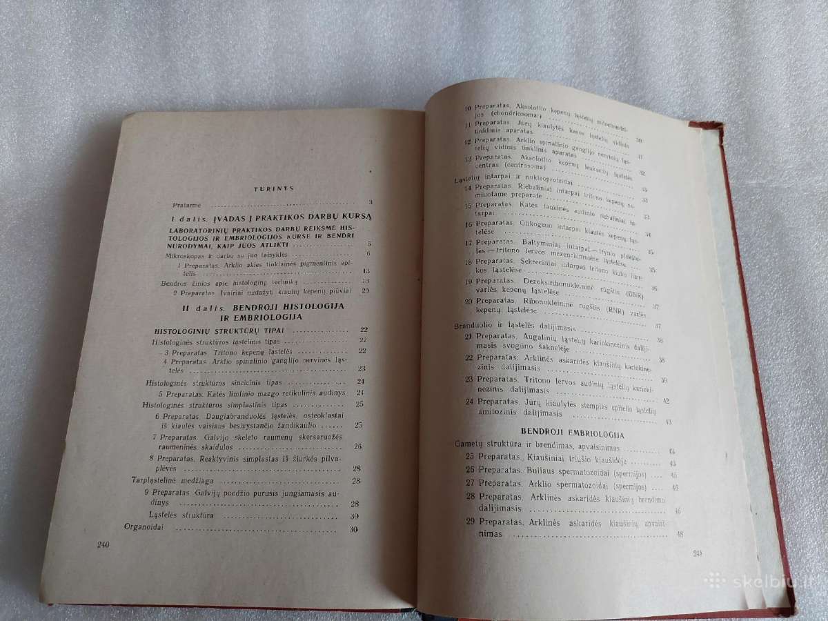 Histologijos ir embriologijos praktikos darbai - nuotraukos Nr. 6