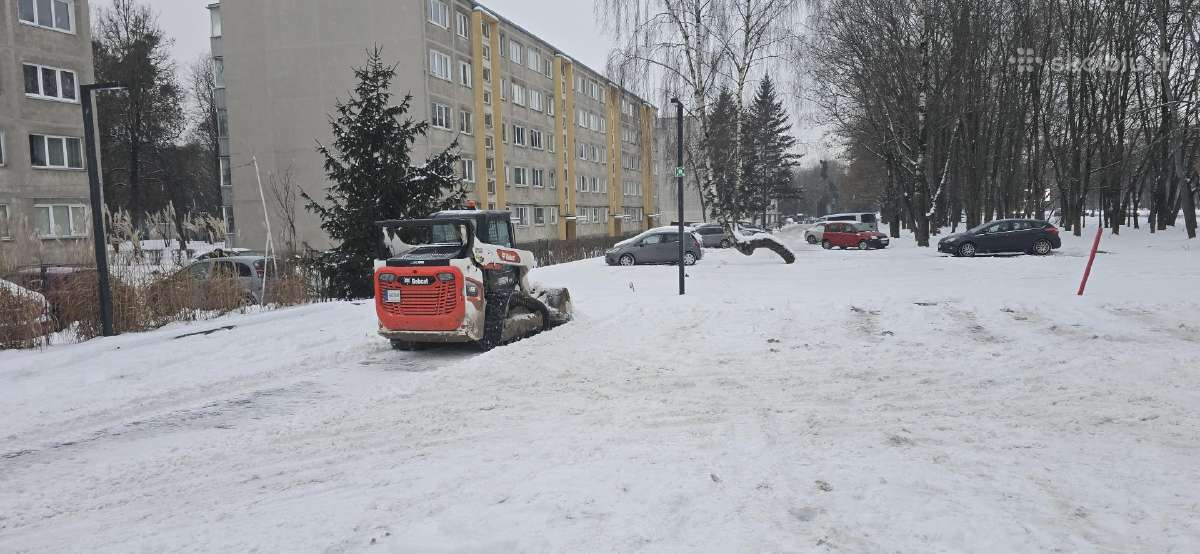 Sklypu ir aplinkos tvarkymas Bobcat nuoma Kaunas - nuotraukos Nr. 11