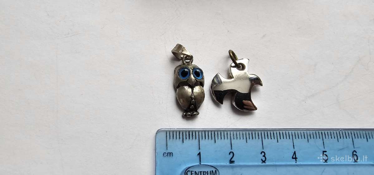 Sidabrinis pakabukas 925 2vnt