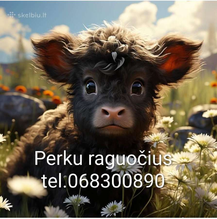 Perku įvairius raguočius