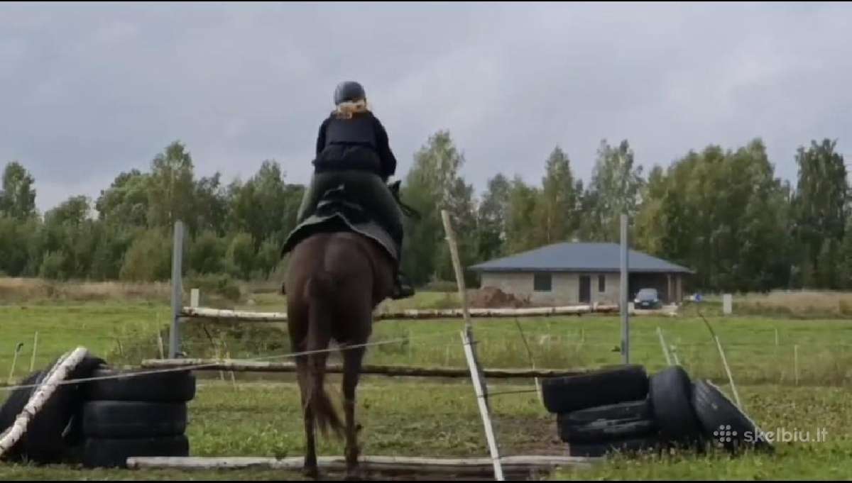 Parduodama arba keičiama pony kumele