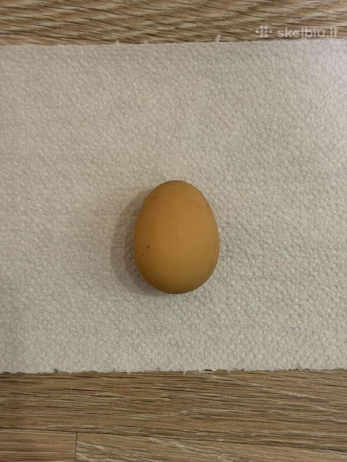 Guminis dekoratyvinis kiaušinis - nuotraukos Nr. 2