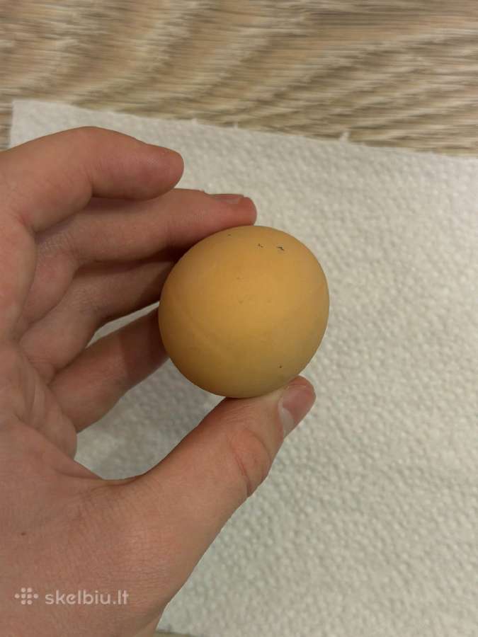 Guminis dekoratyvinis kiaušinis - nuotraukos Nr. 7