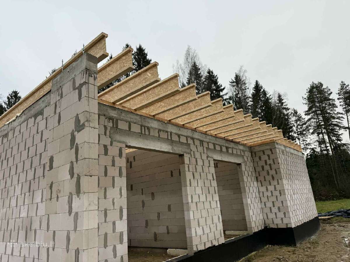 Dvitėjinės sijos - nuotraukos Nr. 8