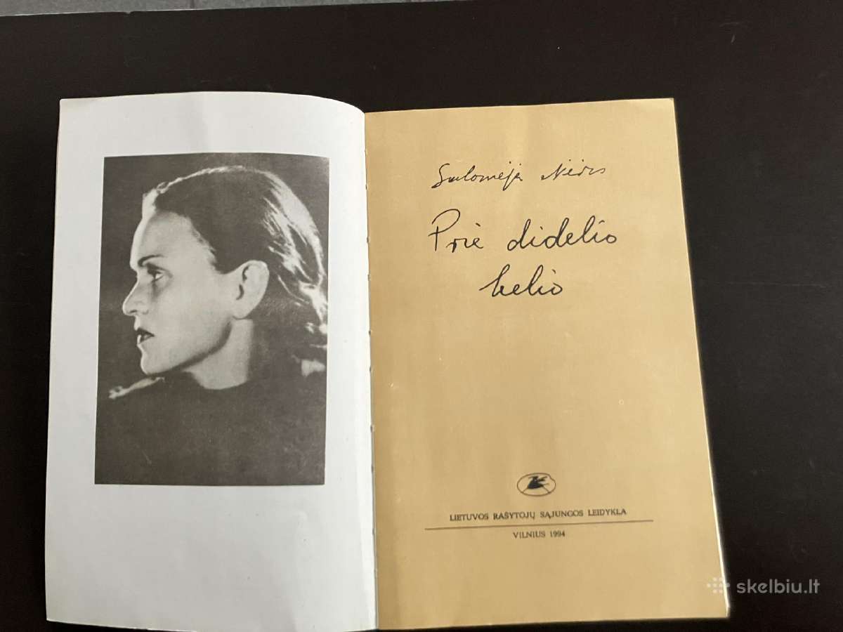 Salomėja Nėris knyga Prie didelio kelio - nuotraukos Nr. 2