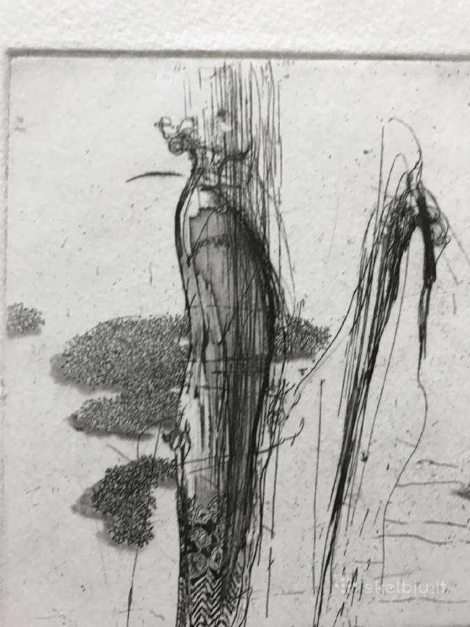 Grafikos darbas - nuotraukos Nr. 2
