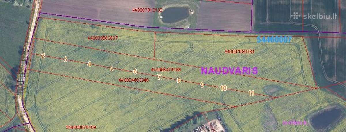 Naudvaryje namų valdos sklypai - nuotraukos Nr. 2