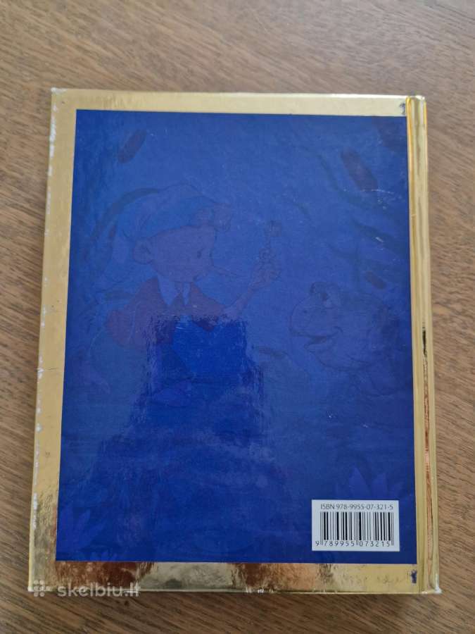 Auksinis raktelis, arba Buratino nuotykiai - nuotraukos Nr. 7