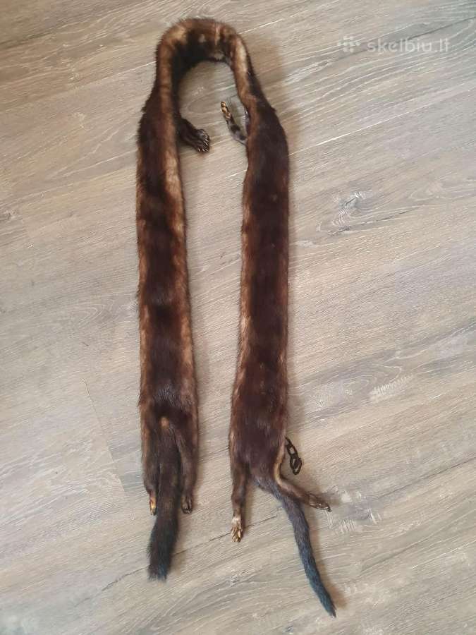 Audiniu apykakle