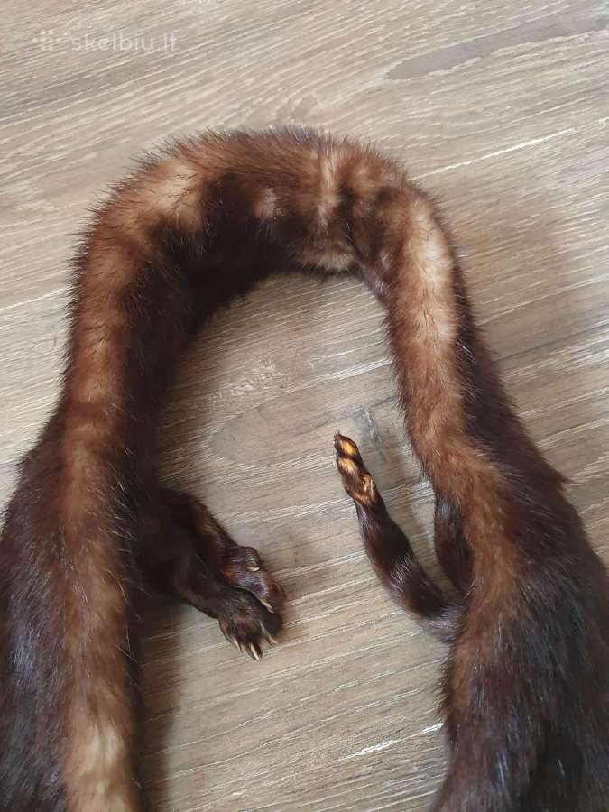 Audiniu apykakle - nuotraukos Nr. 2