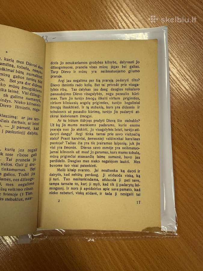 Jauni Didvyriai 1929m. - nuotraukos Nr. 3
