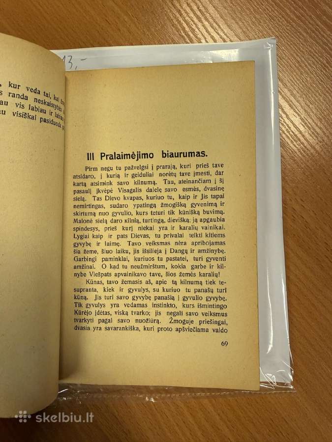 Jauni Didvyriai 1929m. - nuotraukos Nr. 4