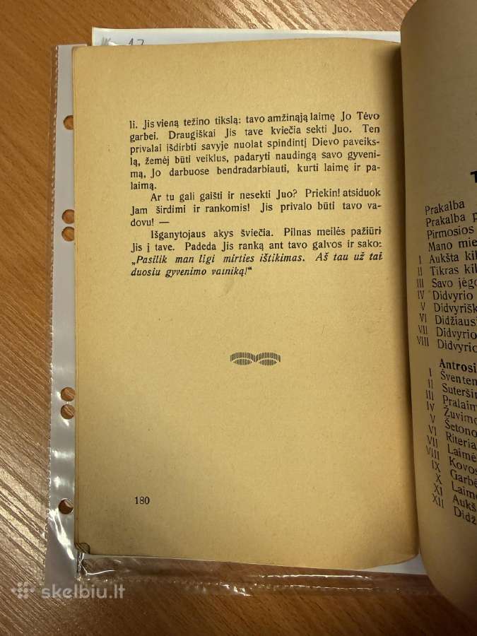 Jauni Didvyriai 1929m. - nuotraukos Nr. 5