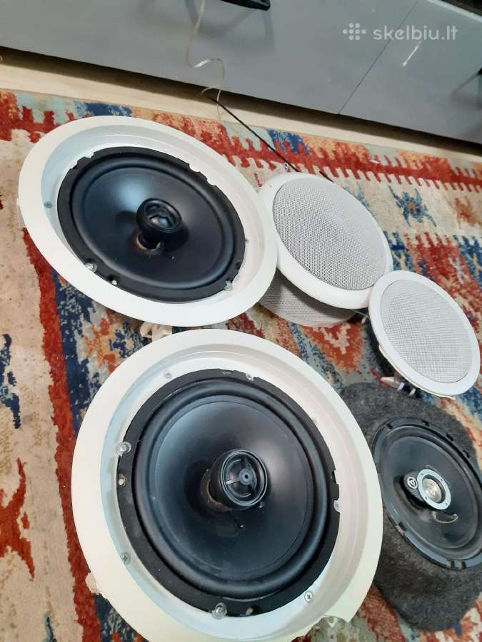 Kaloneles