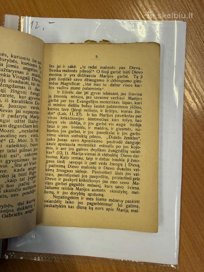 Tėve mūsų Gegužės mėnesiui 1924 - nuotraukos Nr. 3