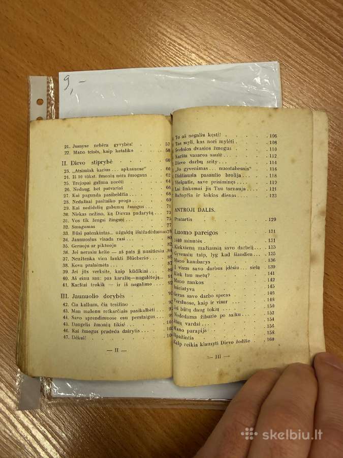 Gyveniman pažvelgus 1932 - nuotraukos Nr. 7