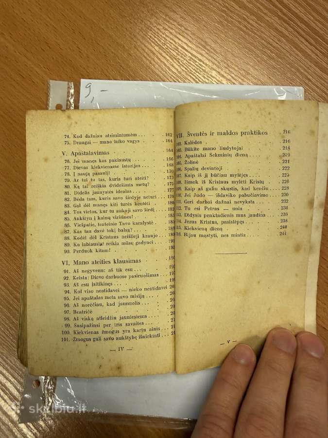 Gyveniman pažvelgus 1932 - nuotraukos Nr. 8