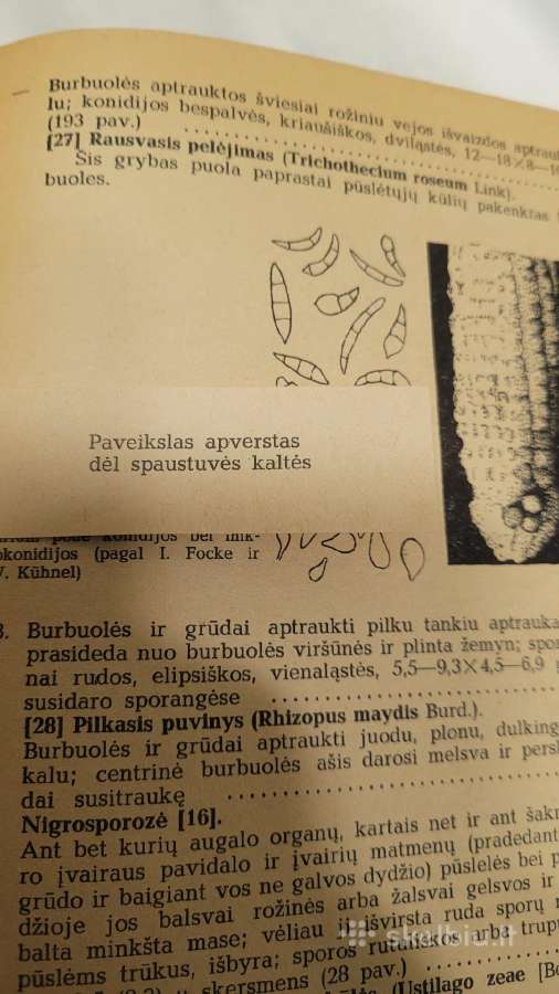 1970m vadovas augalų ligoms pažinti - nuotraukos Nr. 3