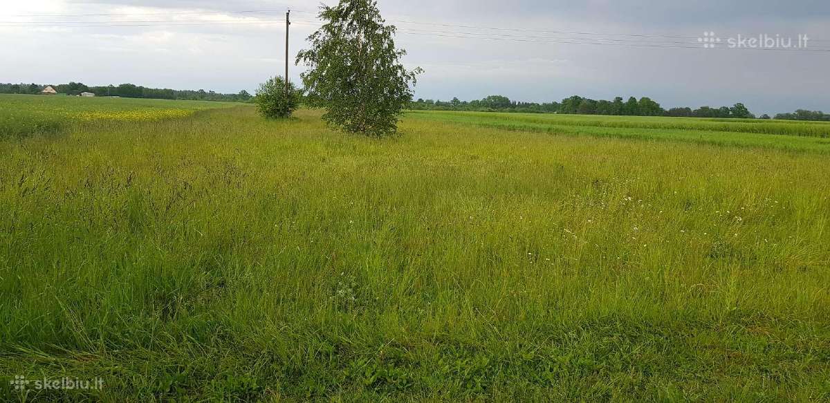 36a sklypas, Tautkūnų km, prie Velžio - nuotraukos Nr. 3