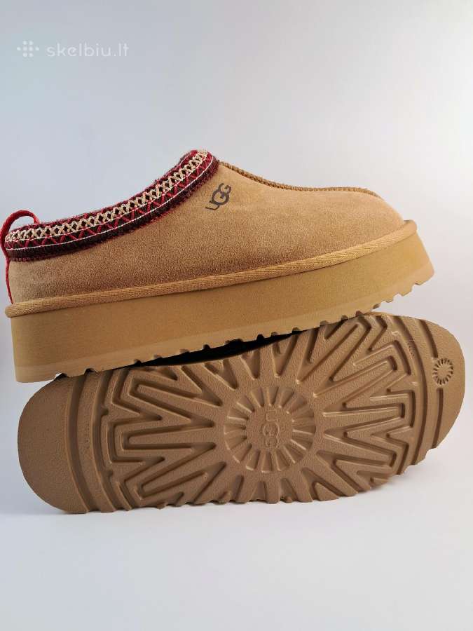 Nauji Ugg Classic / Tazz - nuotraukos Nr. 16