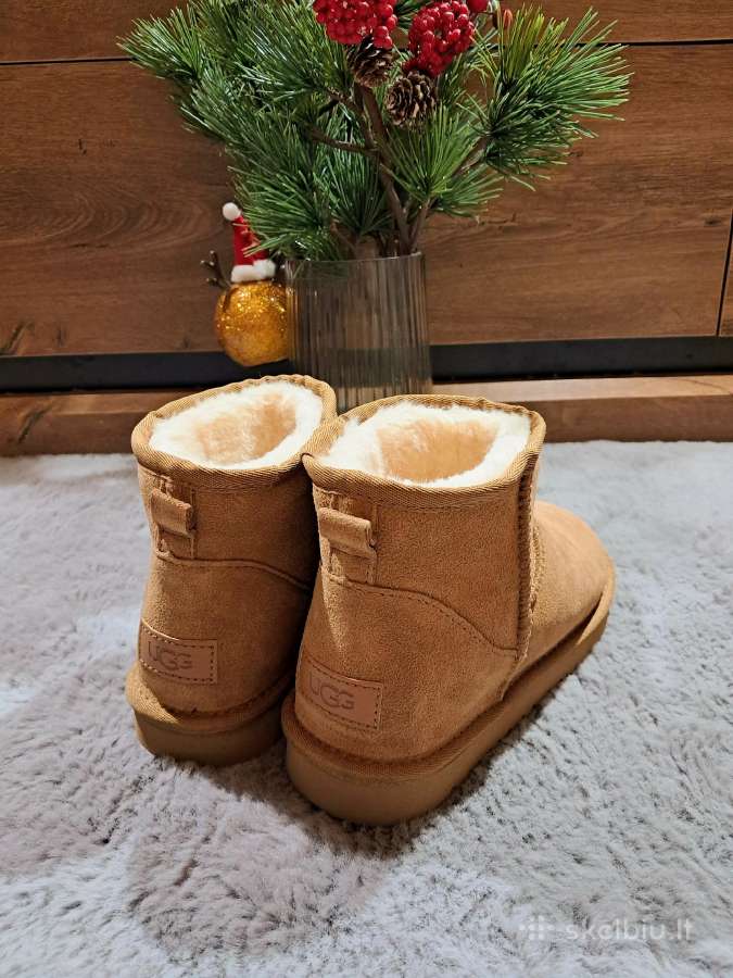 Nauji Ugg Classic / Tazz - nuotraukos Nr. 17