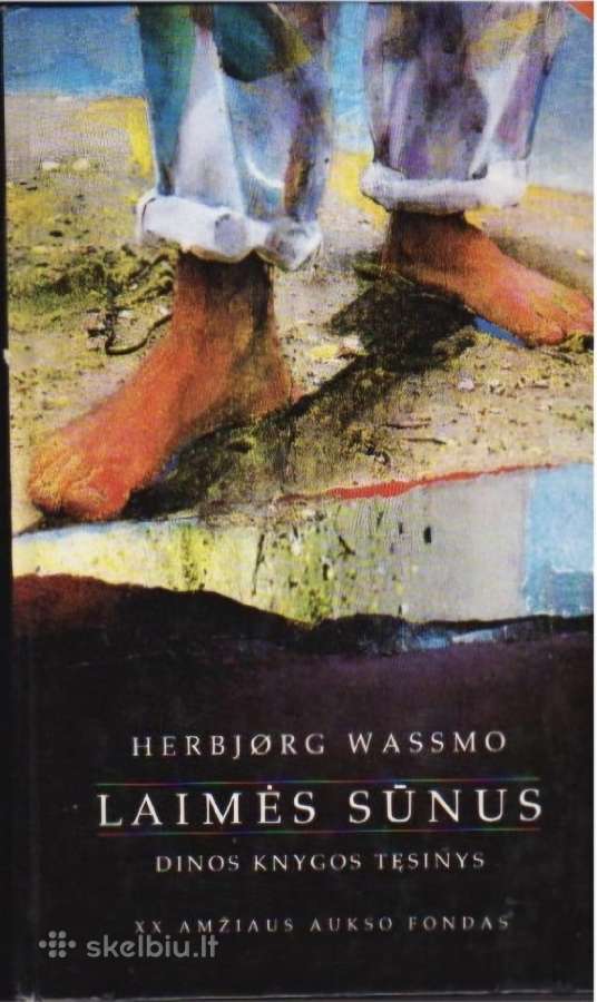 Herbjorg wassmo. Dinos knyga ir Laimės sūnus. - nuotraukos Nr. 2